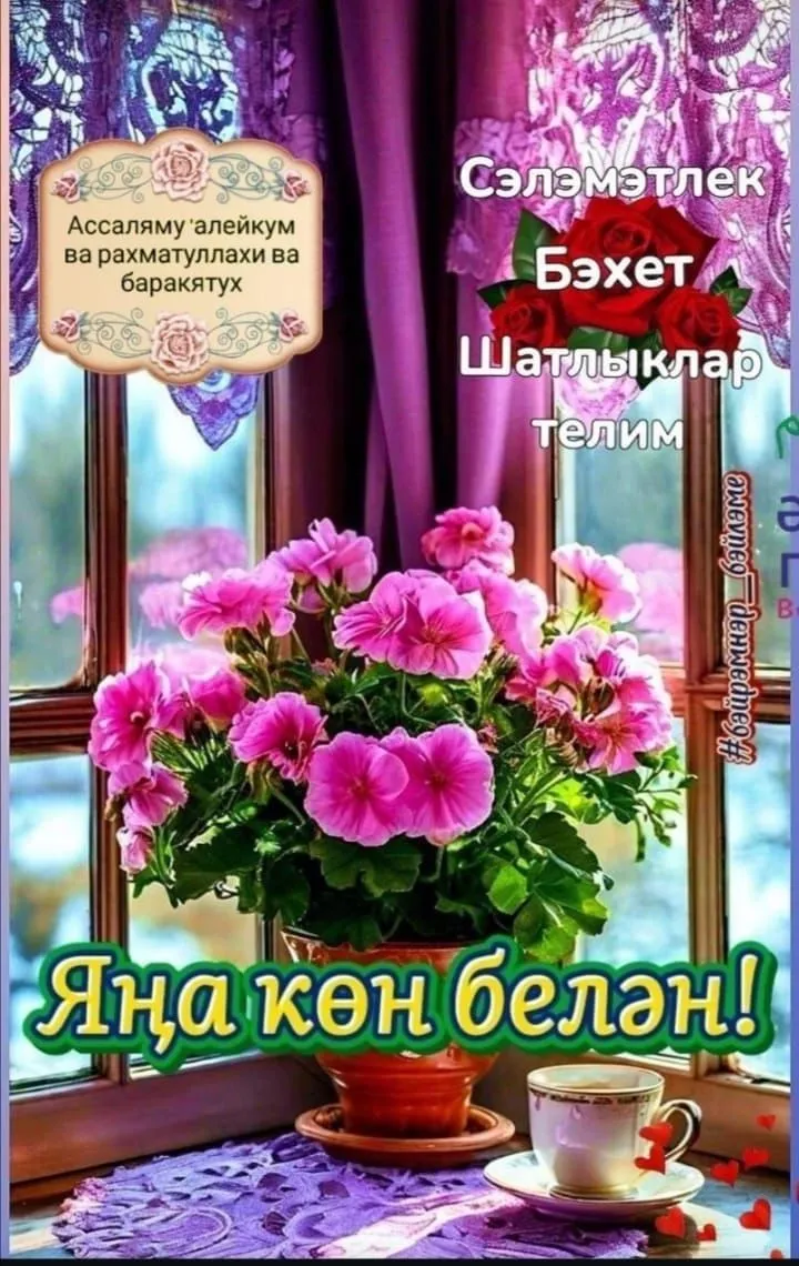 Яңа көн..