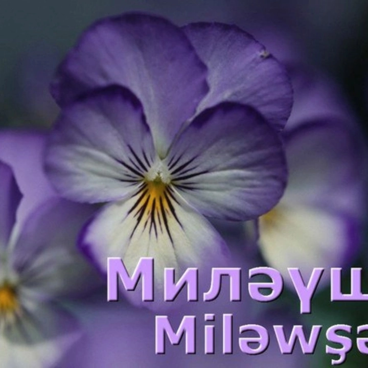 Миләүшә Алексеева